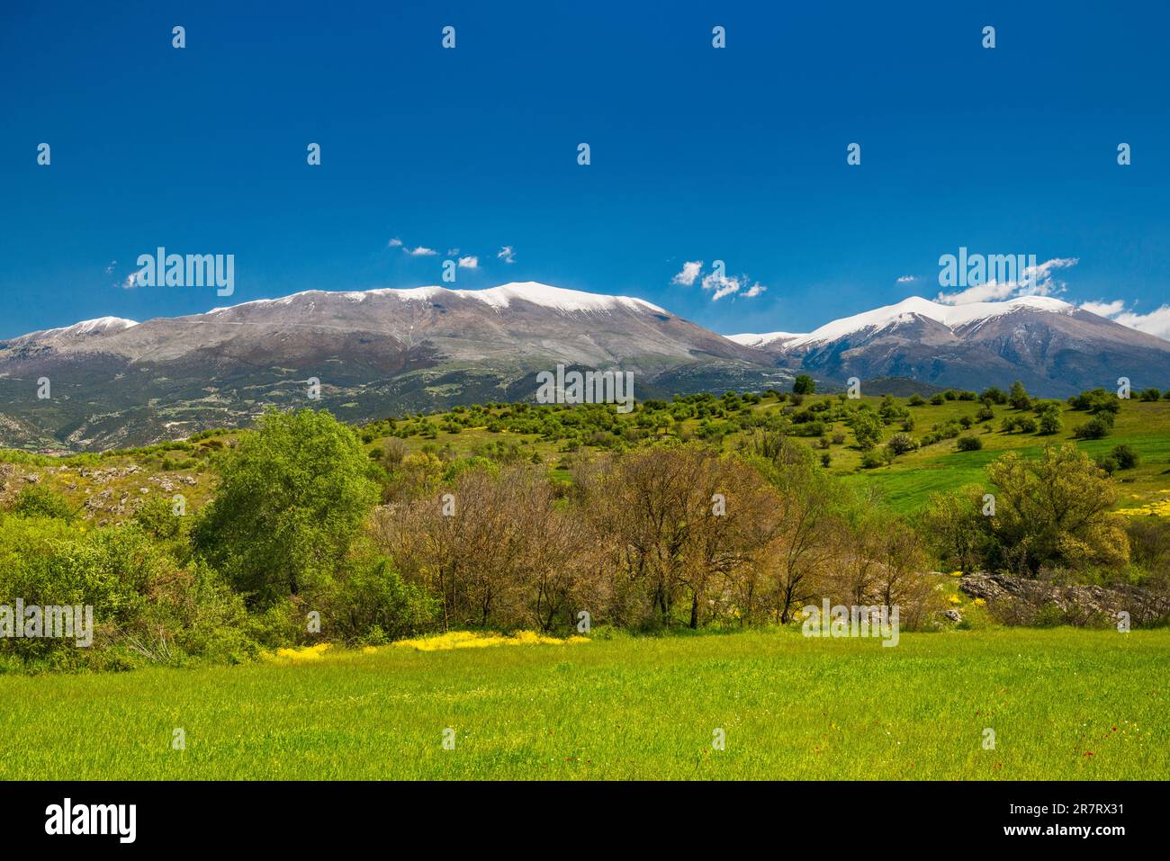 Massiccio del Monte Olimpo, freschezza primaverile, vista da SW, vicino al villaggio di Kallithea, regione della Tessaglia, Grecia Foto Stock