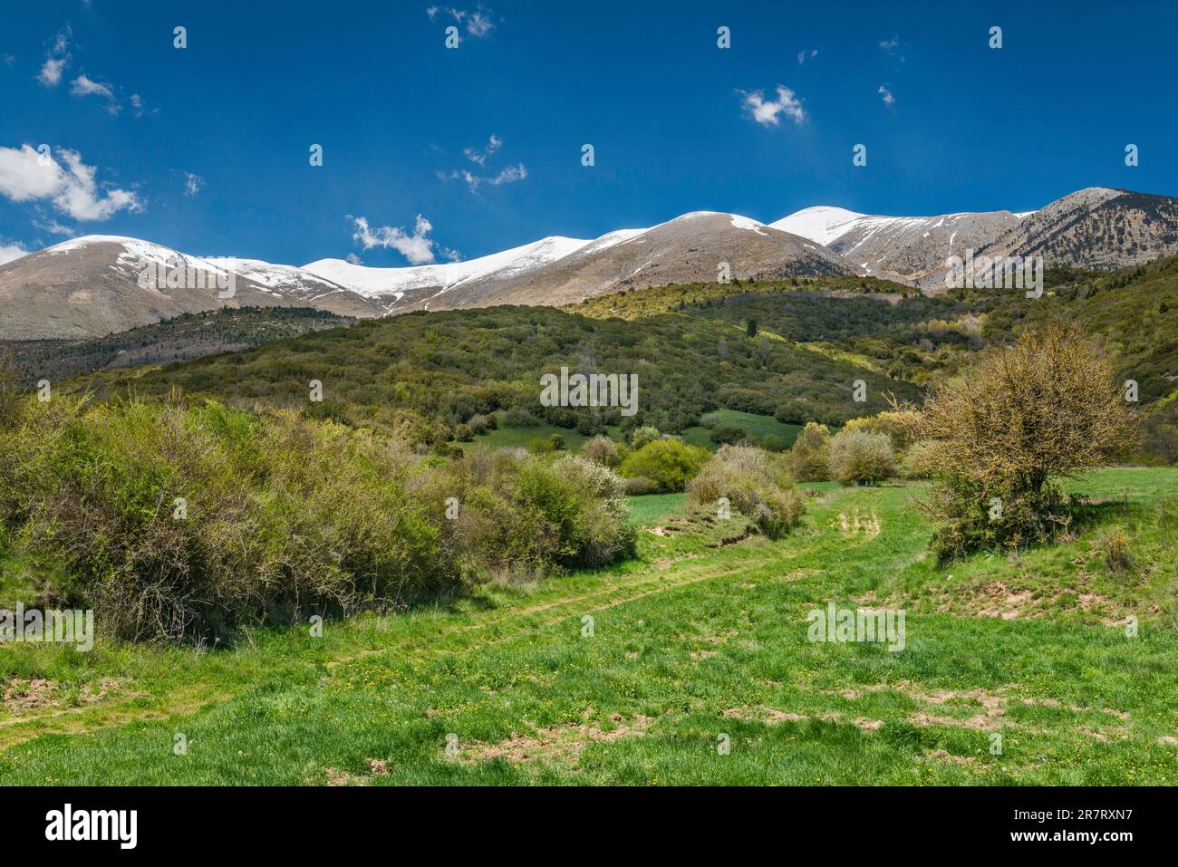 Cime del Monte Olimpo, vista da sud, vicino al villaggio di Karia (Karya), regione di Tessaglia, Grecia Foto Stock