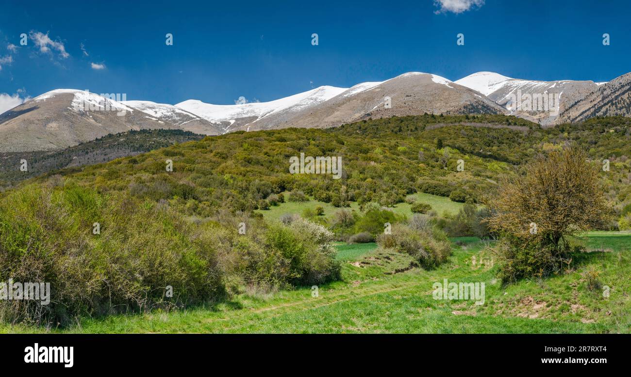 Cime del Monte Olimpo, vista da sud, vicino al villaggio di Karia (Karya), regione di Tessaglia, Grecia Foto Stock