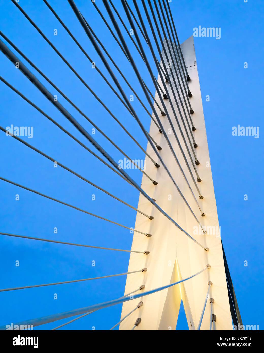Rotterdam, Paesi Bassi - Ponte Erasmus di ben van Berkel, dettaglio Foto Stock