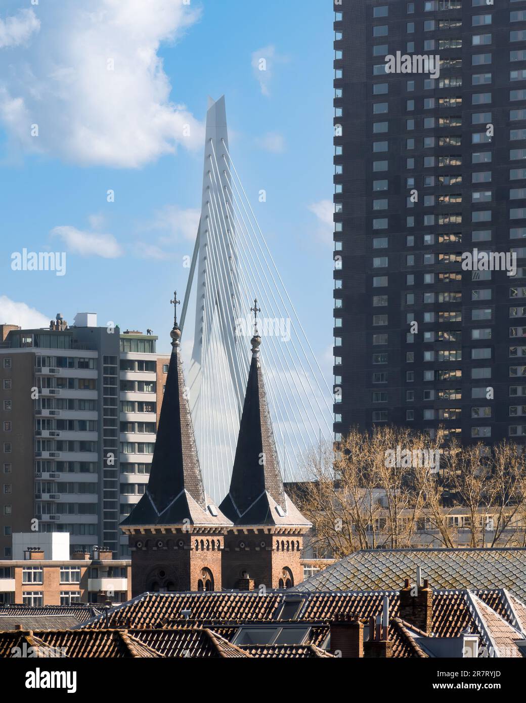 Rotterdam, Paesi Bassi - Ponte Erasmus di ben van Berkel Foto Stock