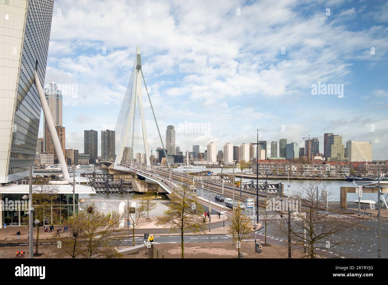 Rotterdam, Paesi Bassi - Ponte Erasmus di ben van Berkel, città attraverso il fiume Maas da Kop van Zuid Foto Stock