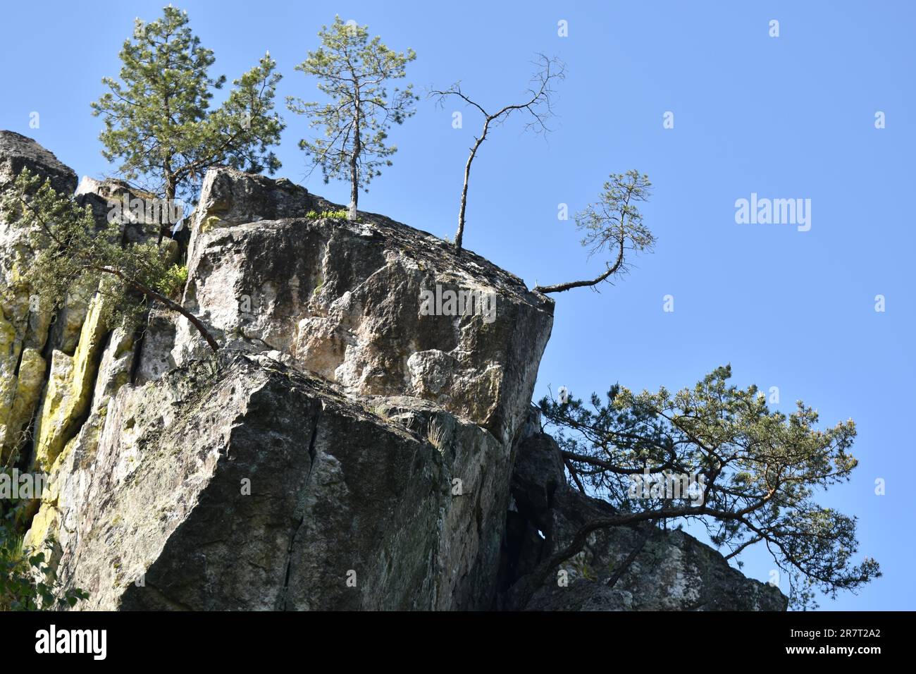 Il monumento naturale Berger Wacken, una roccia quarzitica indurita vicino a Berglict a Hunsrueck, Renania-Palatinato, Germania Foto Stock