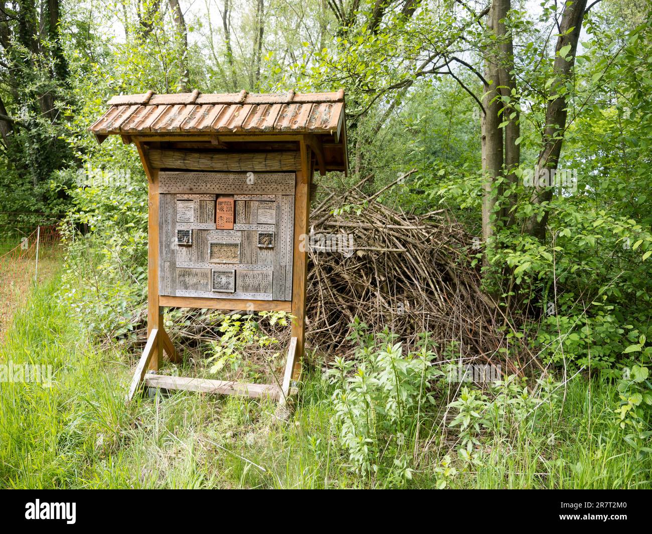 Wild Bee hotel ai margini della foresta, Renania settentrionale-Vestfalia, Germania Foto Stock