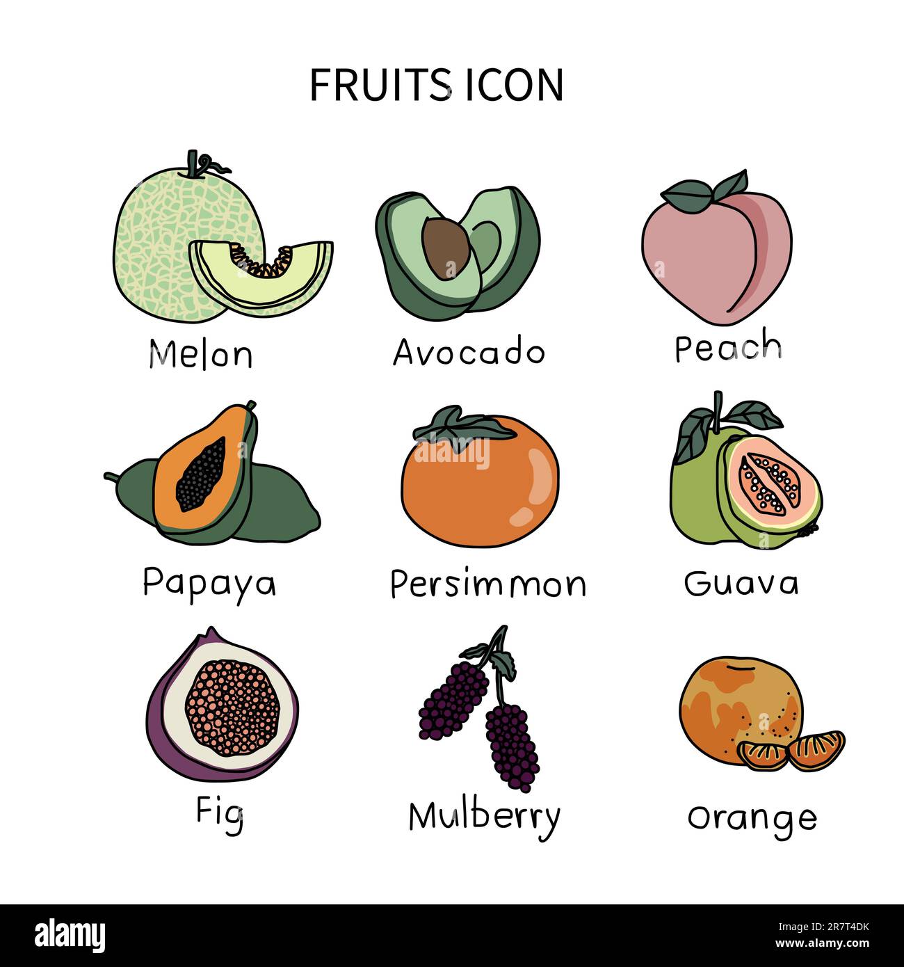 Set illustrativo vettoriale icona Fruits 2 Illustrazione Vettoriale