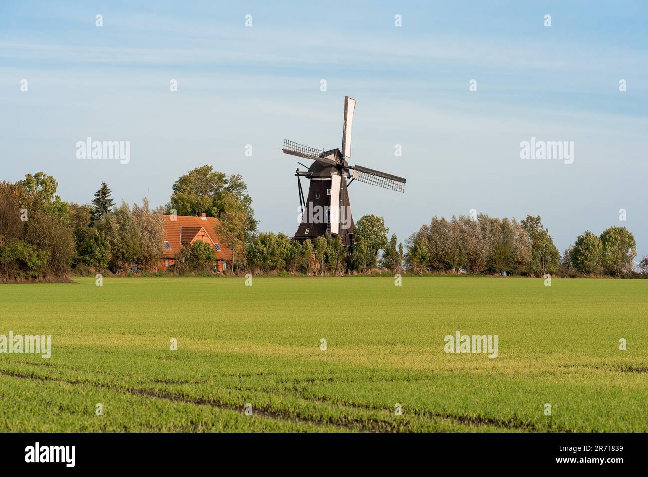 Mulino di smock nel villaggio Lemkenhafen sull'isola del Mar Baltico di Fehmarn, nel nord della Germania Foto Stock
