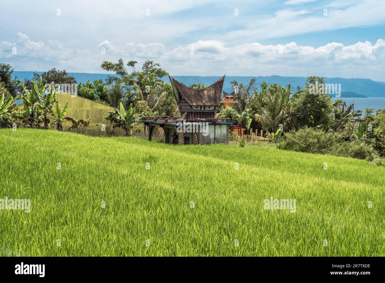 Tomba a più piani del popolo Batak di Toba nella provincia di Sumatra settentrionale. Batak ha un culto speciale della morte con una complessa tradizione di sepoltura Foto Stock