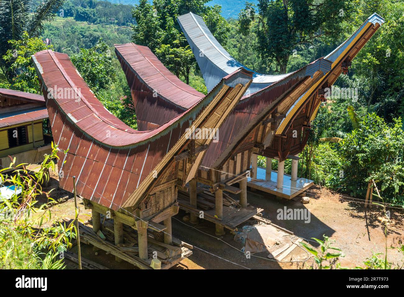 Borgo con tre granai di riso in stile tradizionale Tongkonan casa. L'economia torajana era basata sull'agricoltura, con riso umido coltivato dentro Foto Stock