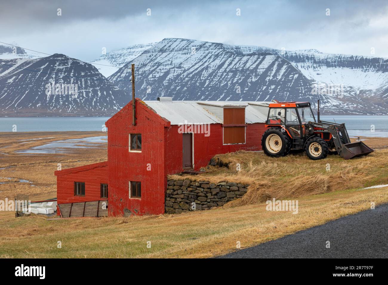 Myrar, Vestfirdir, Islanda Foto Stock