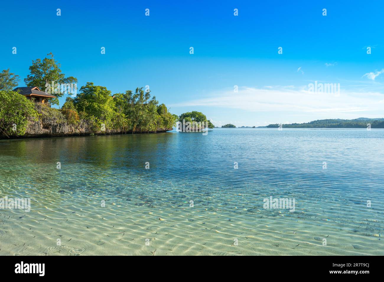 Scogliere, rocce e isolotti ricoperti da arbusti e alberi sempreverdi di fronte all'Isola Togia Batudaka nel Golfo di Tomini a Sulawesi. Le isole sono Foto Stock