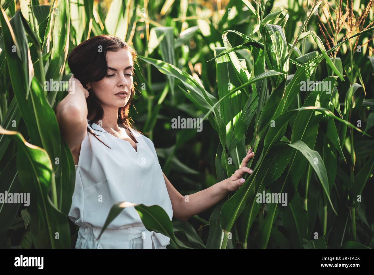 Giovane donna bella con capelli castani nel campo di mais Foto Stock