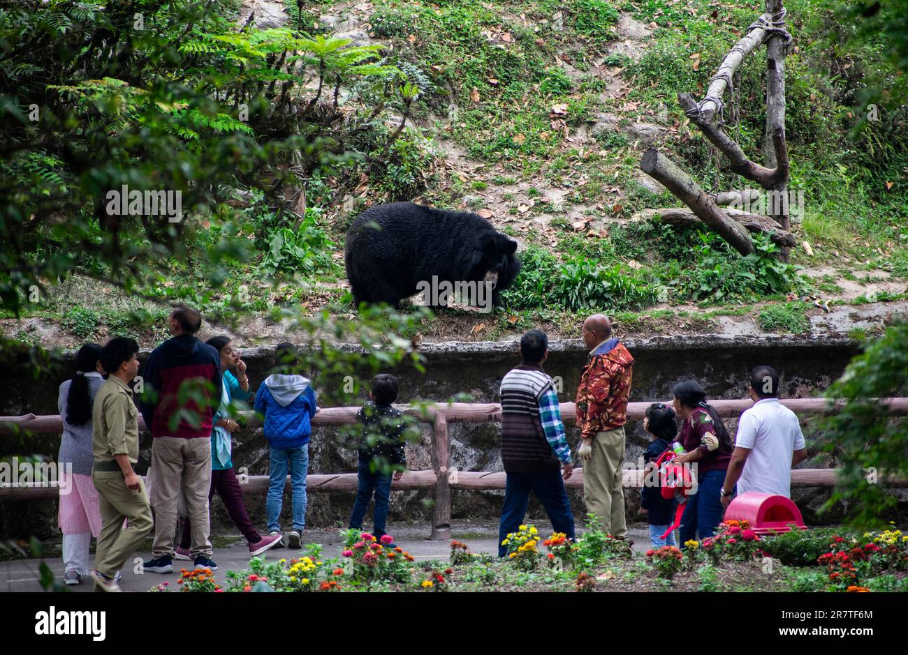 DARJEELING, INDIA, MAGGIO 24: Vistitors Looking a Himalayan Black Bear a Padmaja Naidu Himalayan Zoological Park, a Darjeeling, India il 24 maggio 2023. Foto Stock