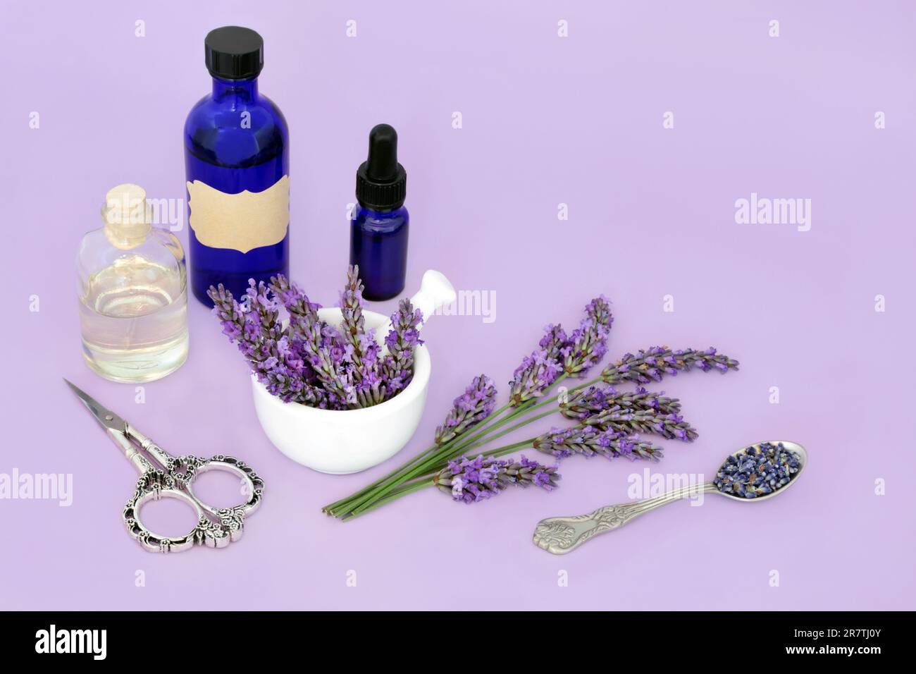 Preparazione di olio essenziale di aromaterapia alle erbe di fiori di lavanda. Medicina a base di erbe alternativa naturale, cibo di adattogeno sano mangiare disegno di natura floreale. Foto Stock