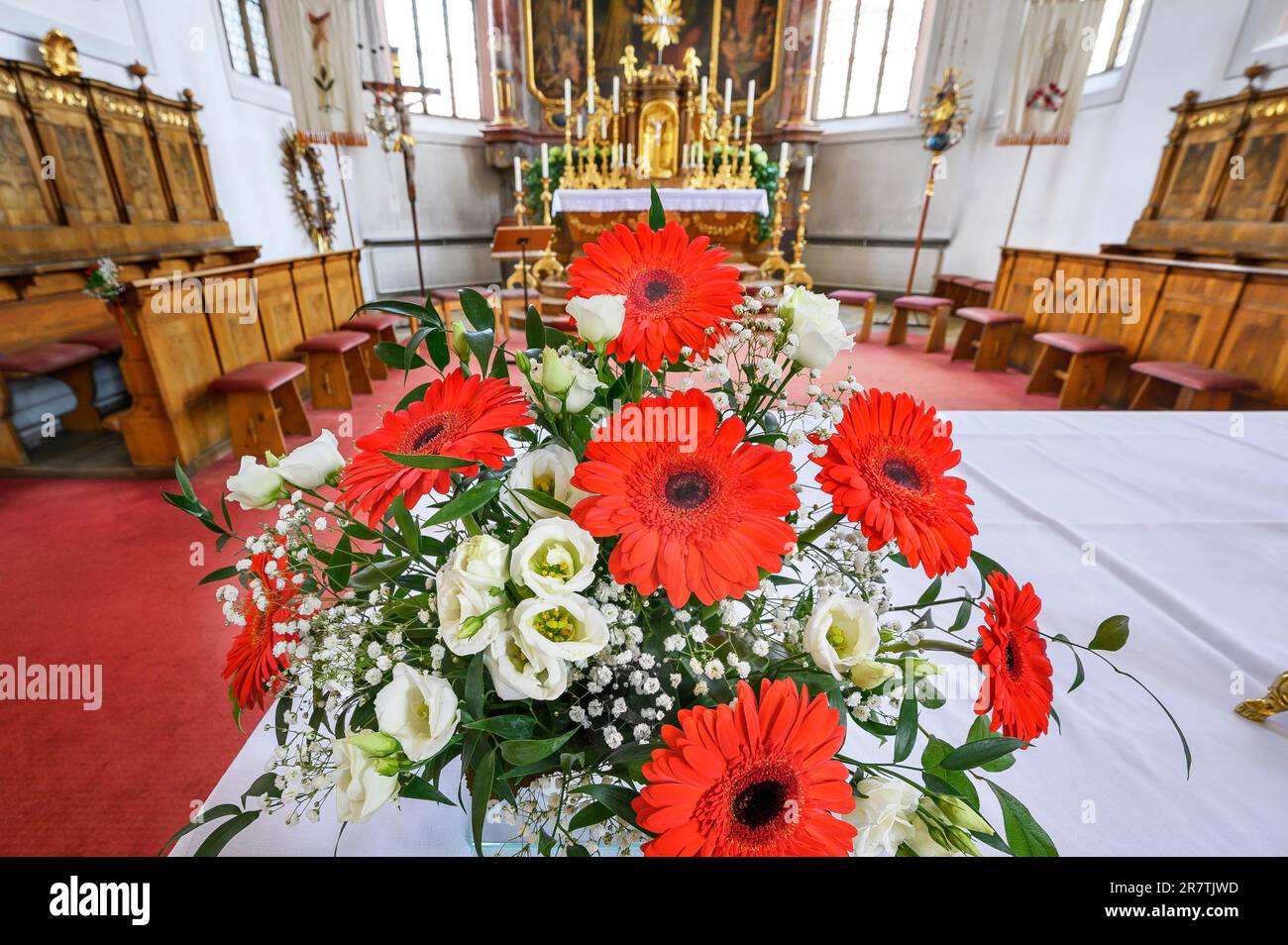 Gerbera, piante composite (Asteraceae) e gypsofila, decorazione floreale sull'altare, Allgaeu, Baviera, Germania Foto Stock