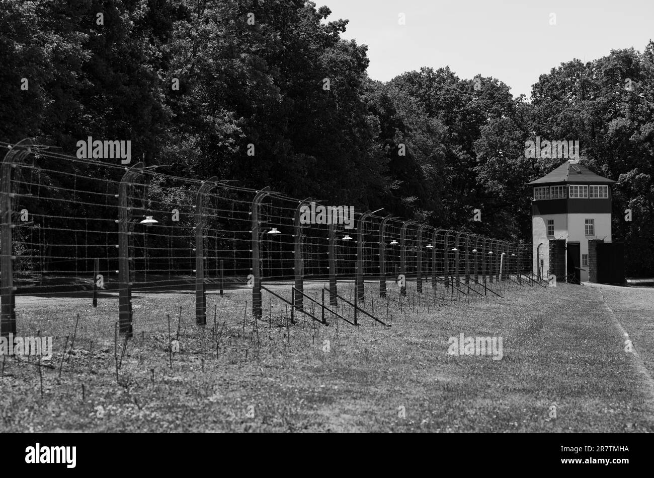 Recinto del campo ricostruito con torre di guardia, ex foresta di faggi del campo di concentramento, oggi sito commemorativo, bianco e nero, Weimar, Turingia, Germania Foto Stock