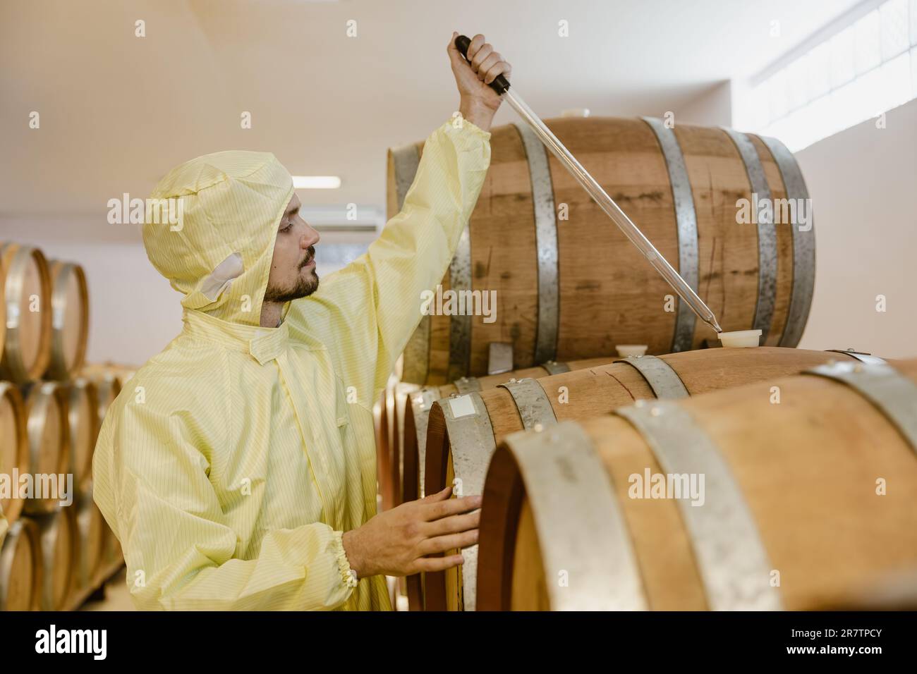 operatore specializzato nella produzione di vino lavora in una fabbrica di vini prova di fermentazione aromatica gusto vino nel serbatoio di oakwood barile. Foto Stock