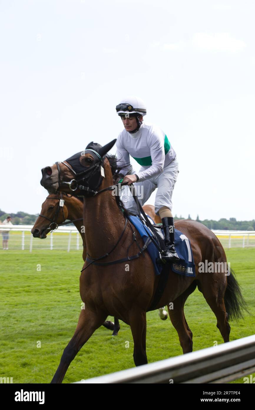 Jockey Kieran o'Neill su Mimikyu alle corse di York. Foto Stock