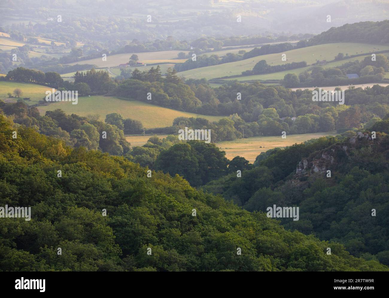 Teign Valley Devon Foto Stock