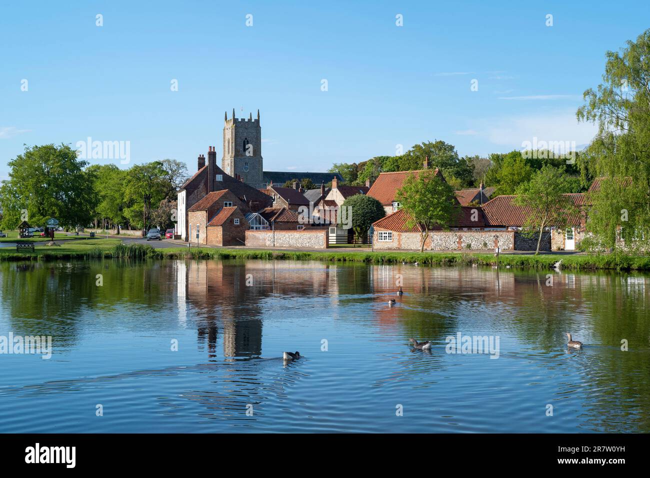 Villaggio stagno con oche Greylag, Anser anser, e la chiesa nel pittoresco villaggio di Great Massingham in primavera a Norfolk, Inghilterra Foto Stock