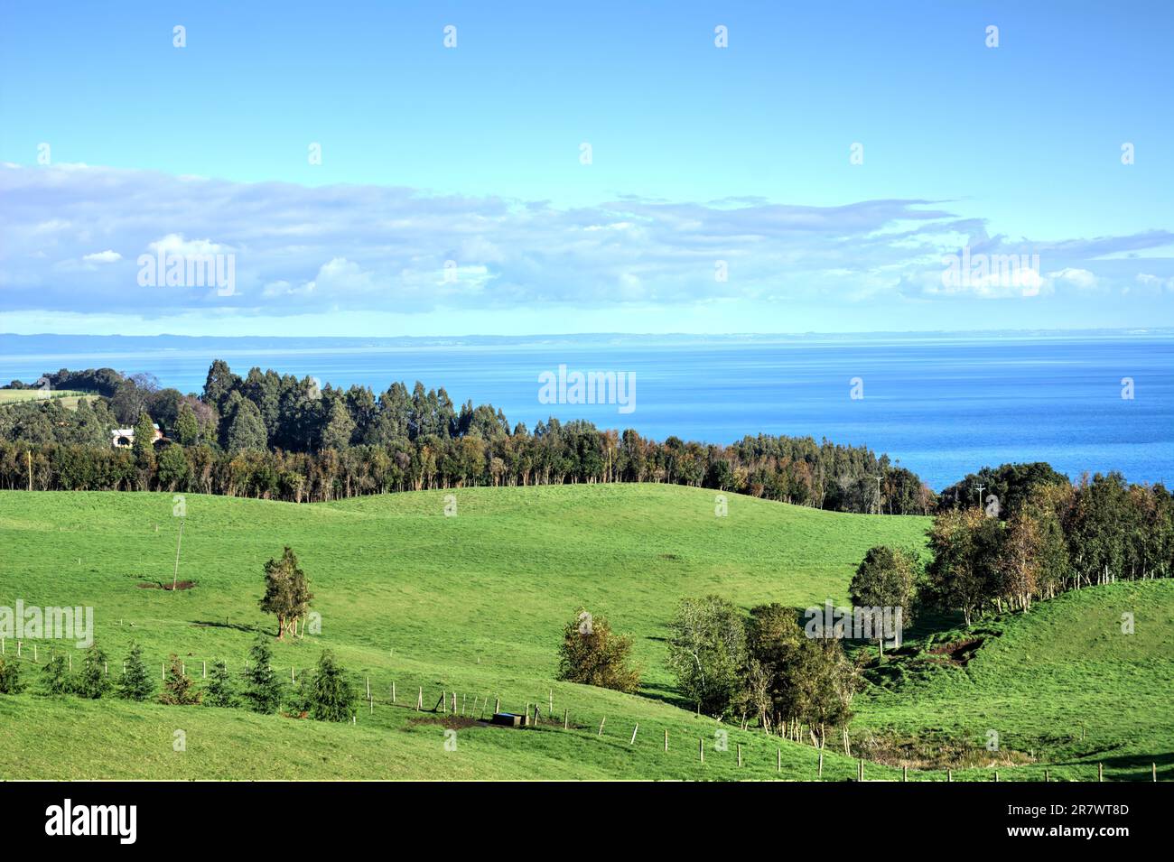 Paesaggio idilliaco di verdi pascoli sull'isola di Chiloe e l'oceano all'orizzonte Foto Stock