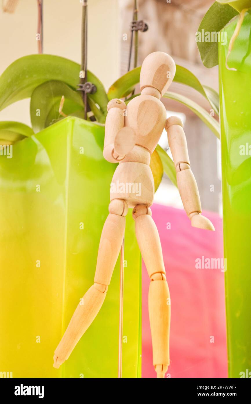 Decorazioni di casa di charme e figurine deliziose per aggiungere personalità e stile. Intricate ceramiche, vivaci tendaggi alle pareti e molto altro ancora Foto Stock