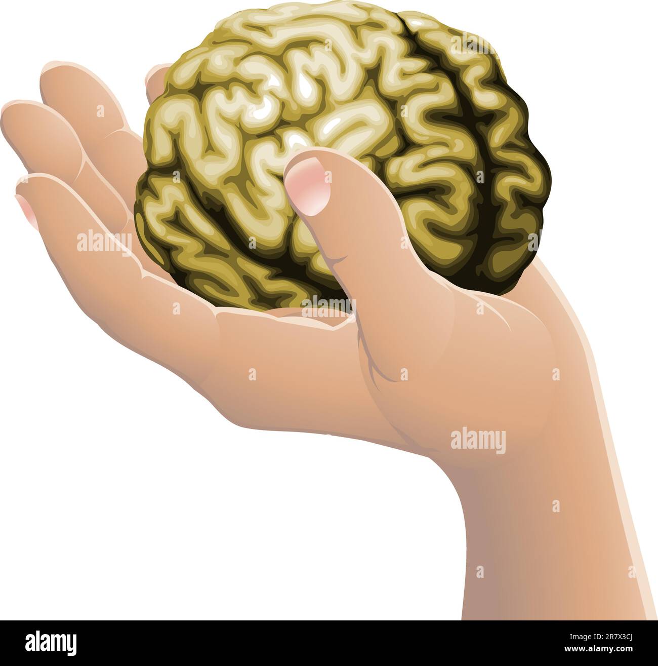 Illustrazione concettuale di una mano che tiene un cervello Illustrazione Vettoriale