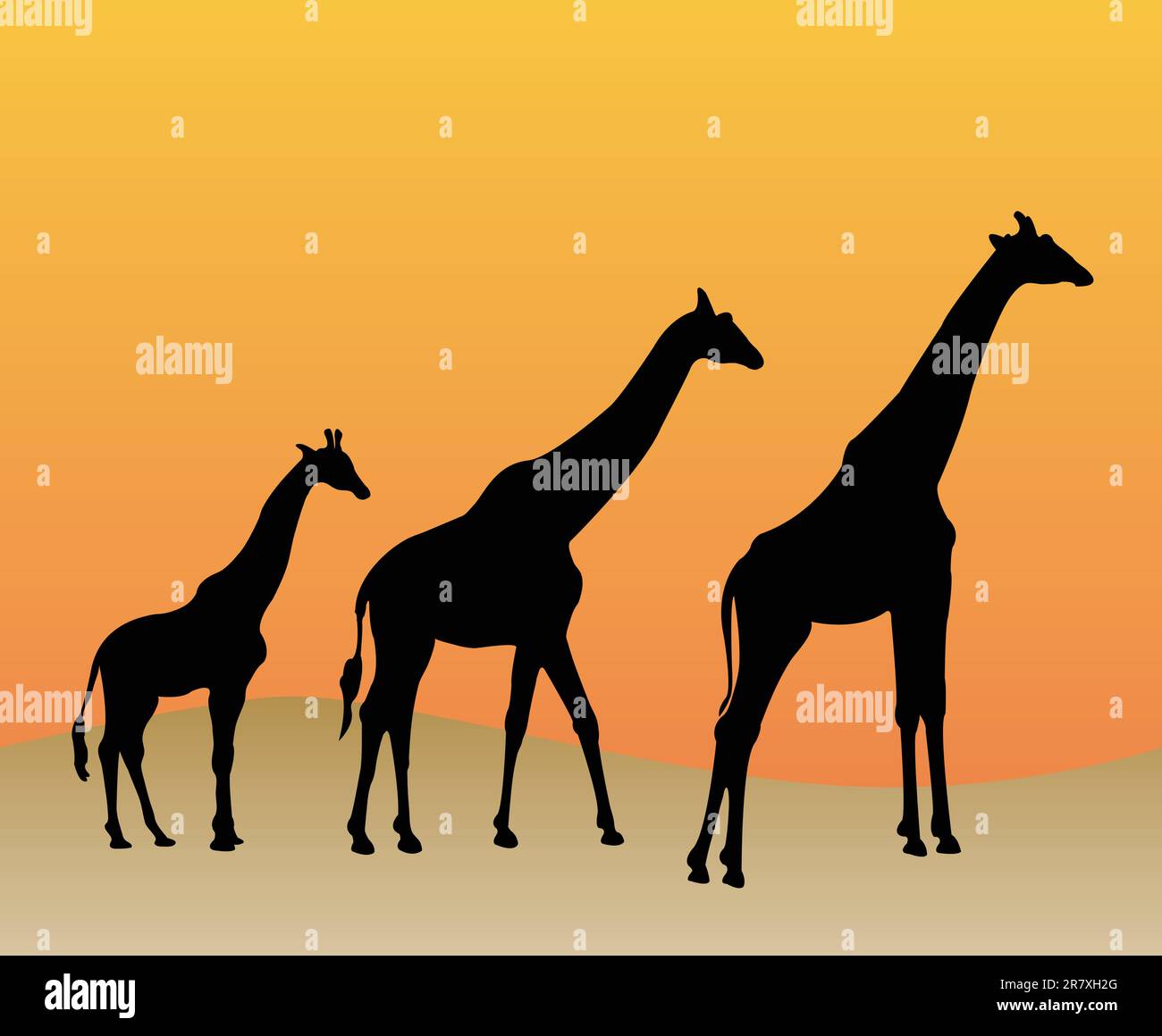 Collezione di giraffe silhouette - vettoriali Illustrazione Vettoriale