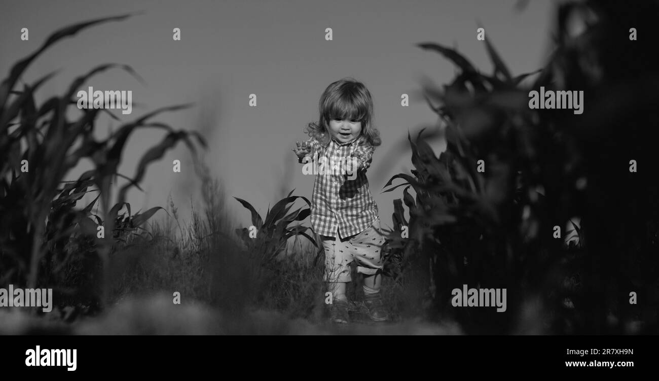 Bambino in erba verde sul prato di primavera. Bambini piccoli che camminano nel parco, banner. Baby sul campo di coltivazione di mais, all'aperto. Bambino che si diverte con l'agricoltura Foto Stock