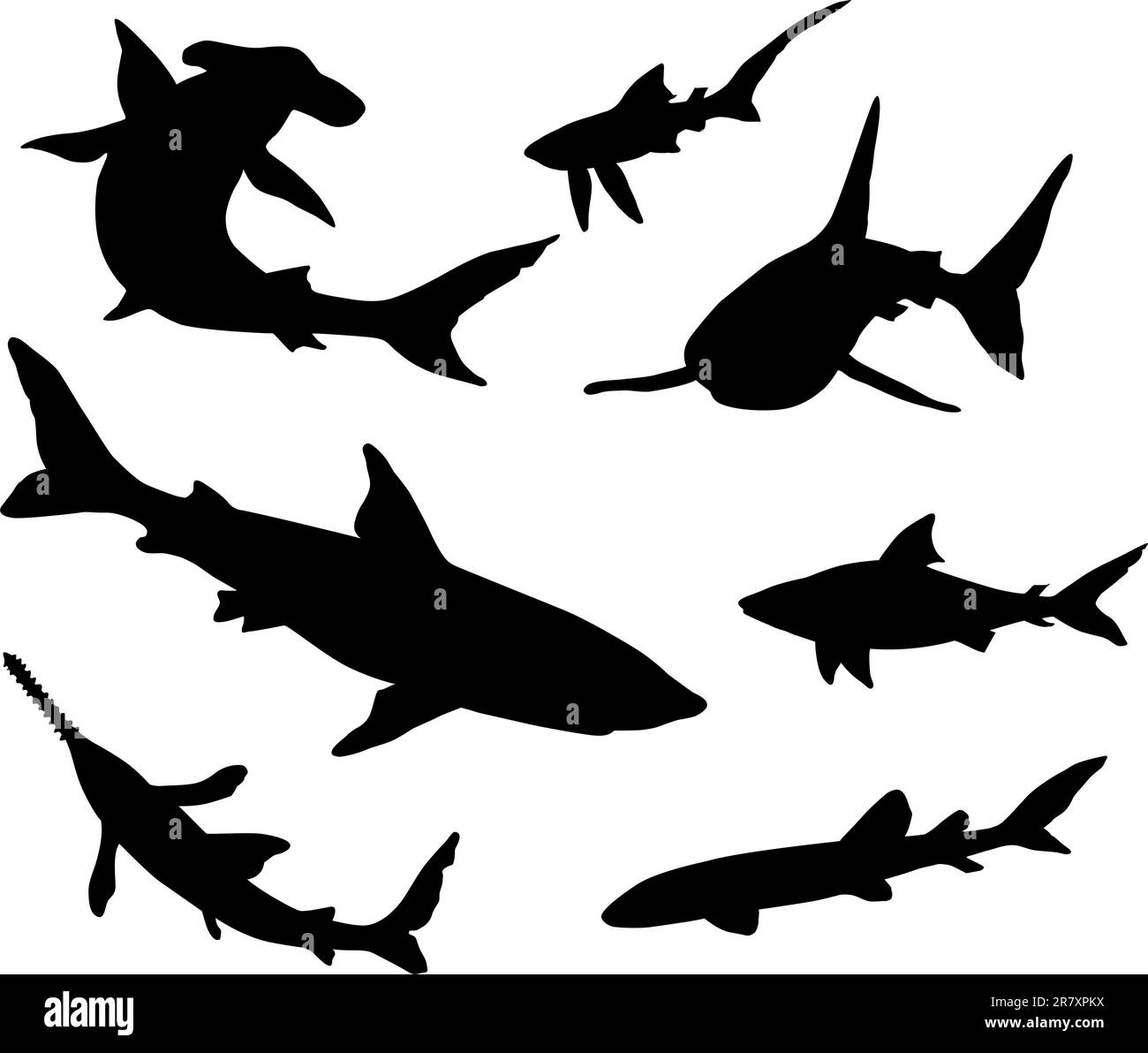 Sagome vettoriali di squali Illustrazione Vettoriale