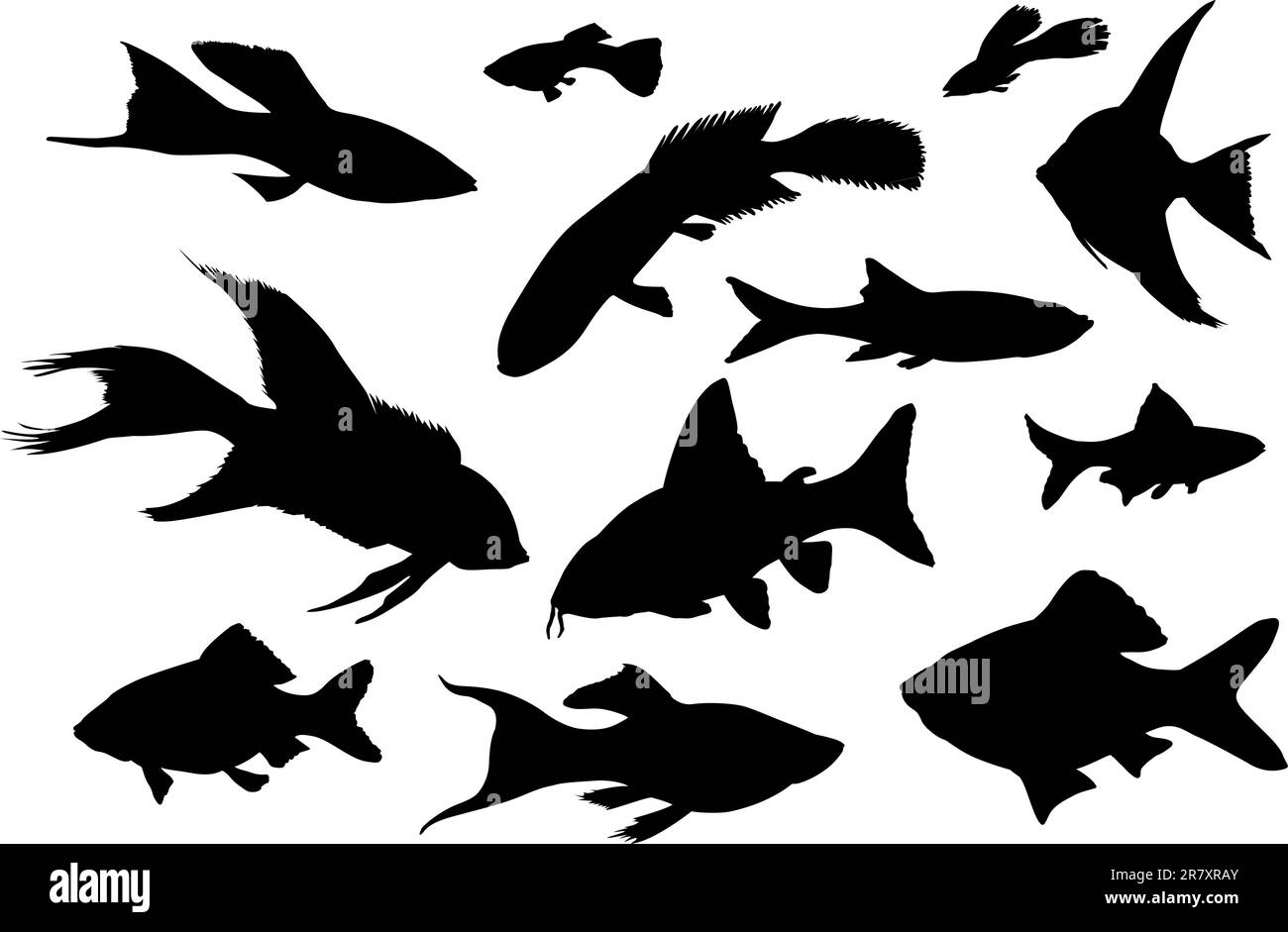 Vettore sagome di pesce isolato Illustrazione Vettoriale