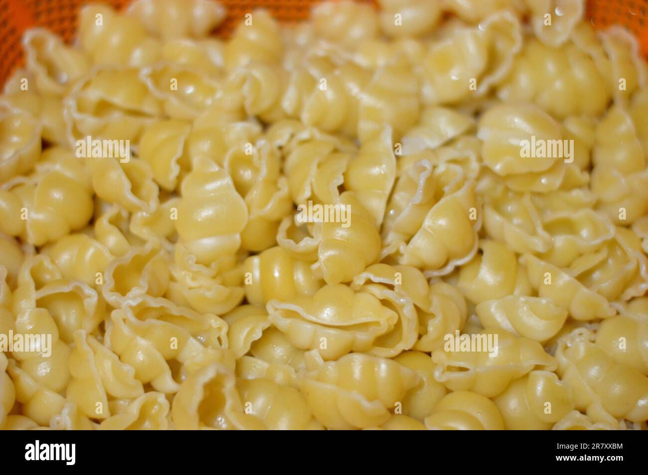 Macaroni bolliti, pasta bollita a forma di lumache, a base di grano duro, focus selettivo di pasta pronta per essere cotta in ricette italiane o altre ricette Foto Stock