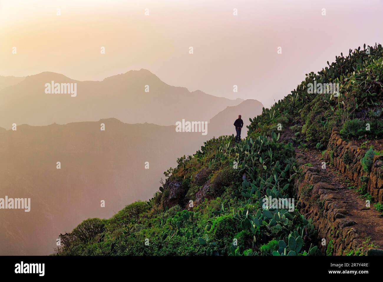 Sentiero escursionistico, escursionisti tra opuntias sulla collina, catene montuose all'orizzonte, retroilluminazione, Anaga Mountains parco naturale, San Cristobal de Foto Stock