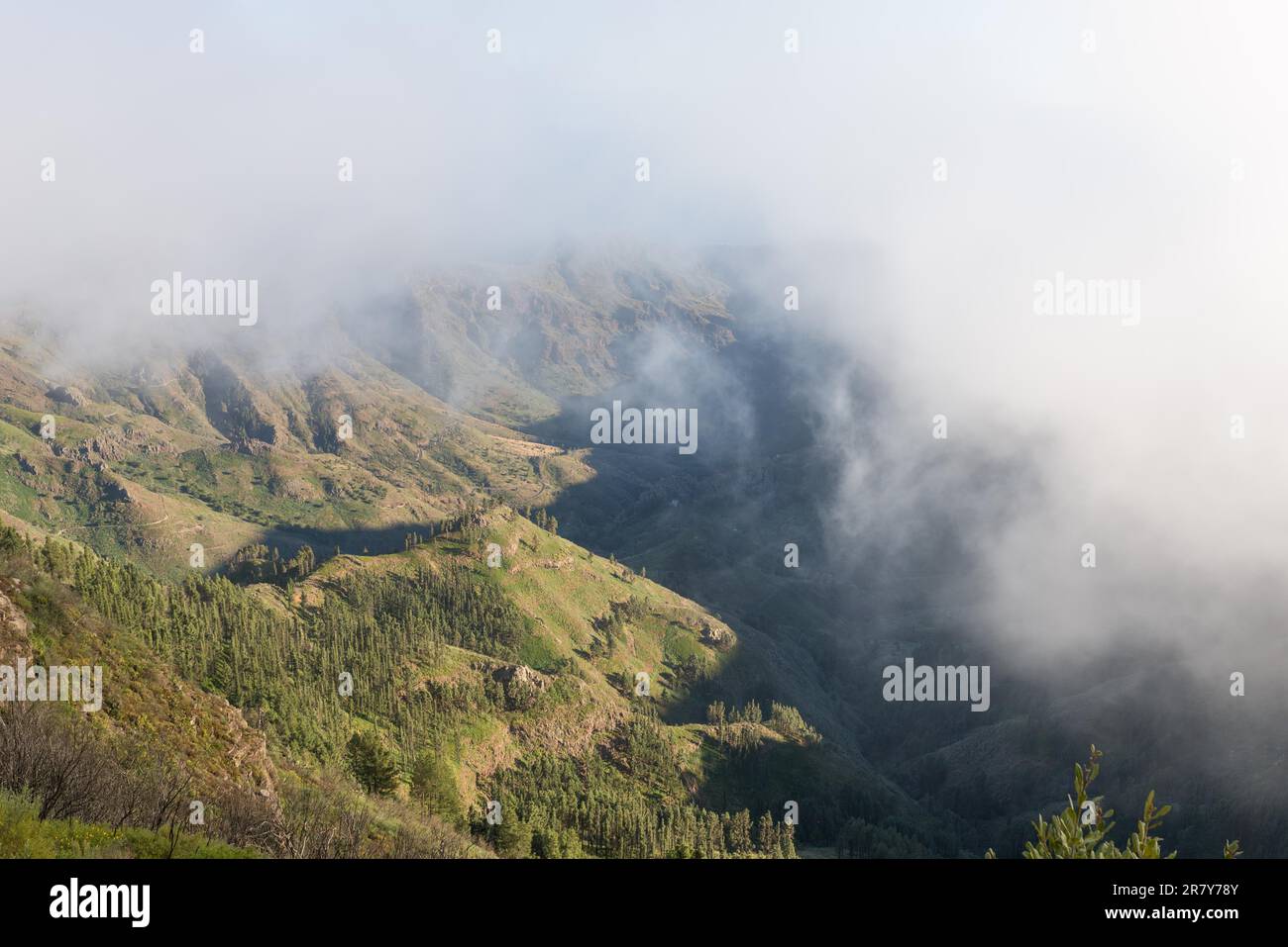 Barranco de Benchijigua sull'isola delle Canarie la Gomera in nuvole, che si sono formate sopra le regioni all'interno del vento commerciale. Le nuvole provengono dalle Azzorre Foto Stock