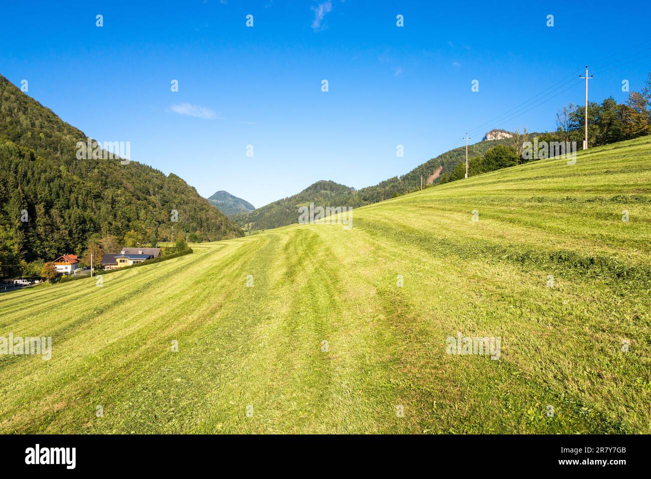 Alpeggio nell'Hintergebirge o Alpi calcaree nell'alta Austria. È la più grande area forestale chiusa e praticamente disabitata Foto Stock