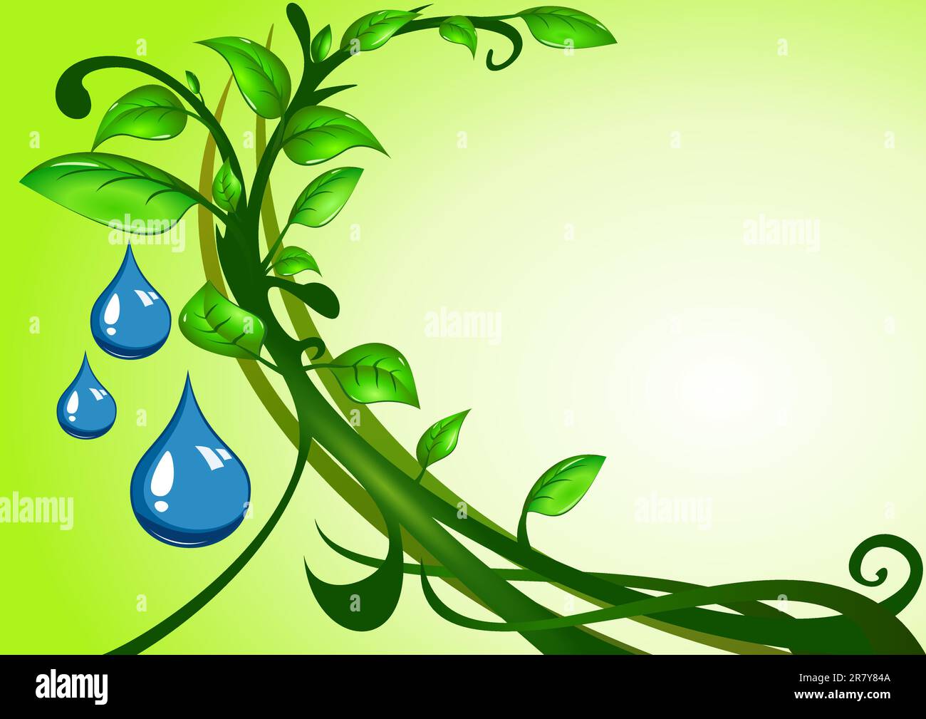 Foglie verdi con gocce d'acqua, illustrazione Illustrazione Vettoriale