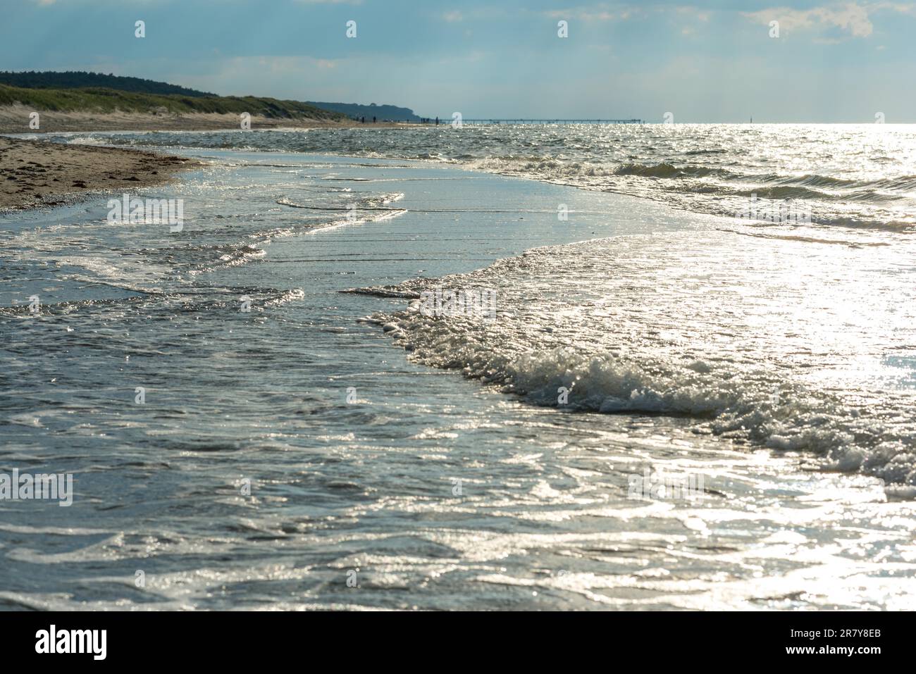 Spiaggia infinita nella regione Fish Land, Darss, la parte nord-orientale della Germania, nello stato federale Meclemburgo-Pomerania anteriore. Uno dei più belli Foto Stock