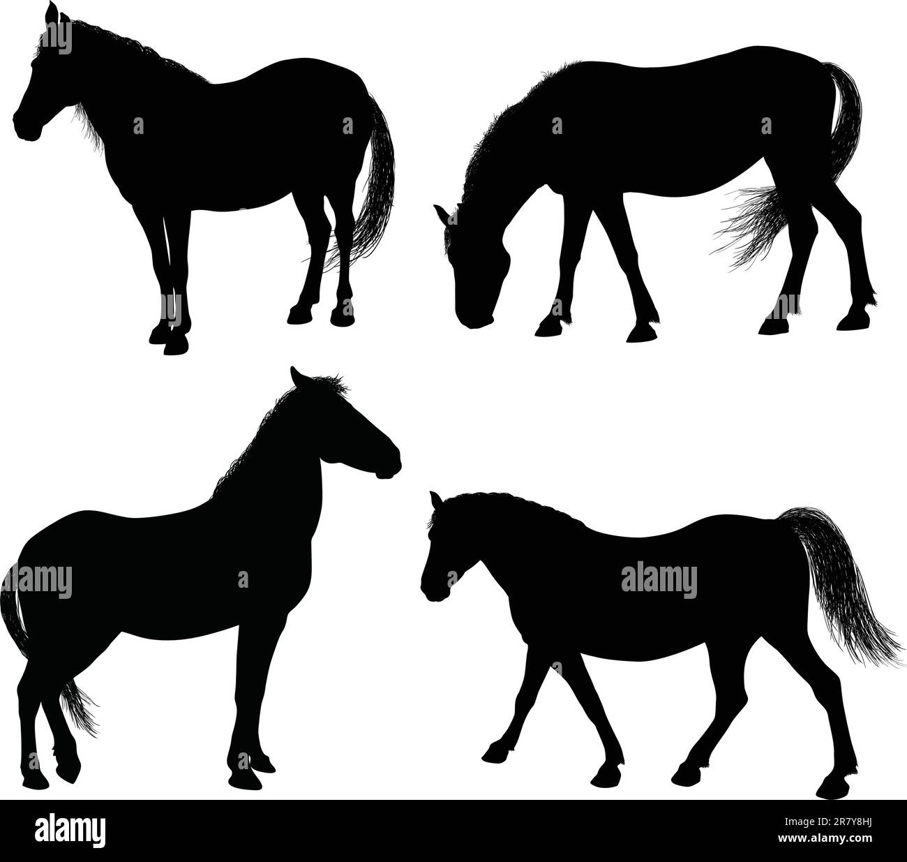 Collezione di silhouette a cavallo dettagliate 7000x6329. Eps8 vettoriale Illustrazione Vettoriale