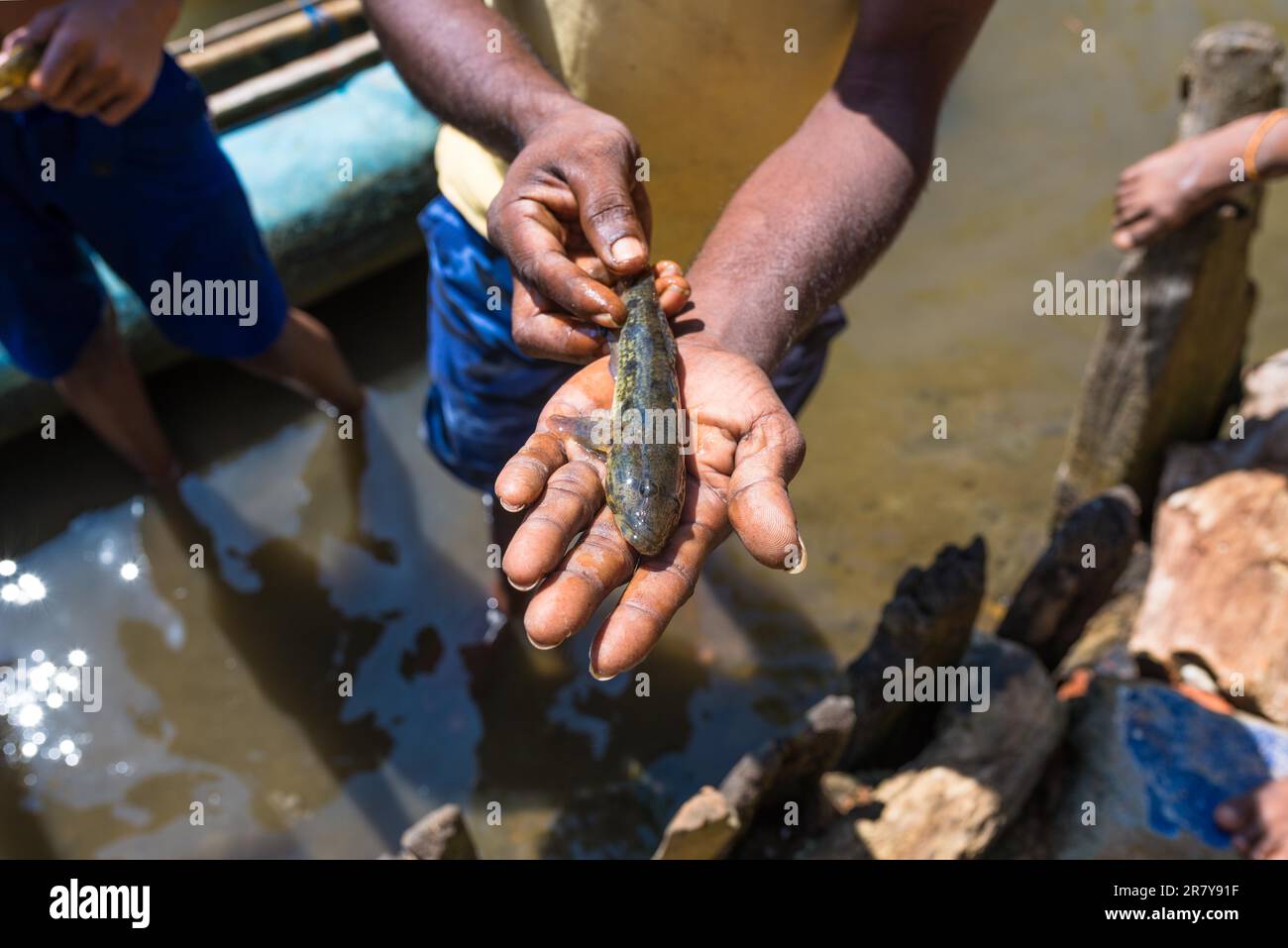 Piccolo pesce nelle mani di un pescatore al lago Hikkaduwa nel nord-est della stessa città. Il lago con le sue lucertole monitor e numerosi uccelli Foto Stock