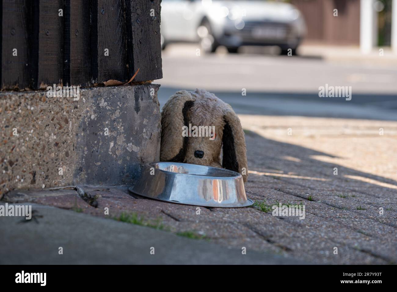 Ciotola di metallo con acqua in una strada inglese per gli animali da bere. Un gesto di amanti degli animali che hanno anche messo accanto un animale farcito . Foto Stock