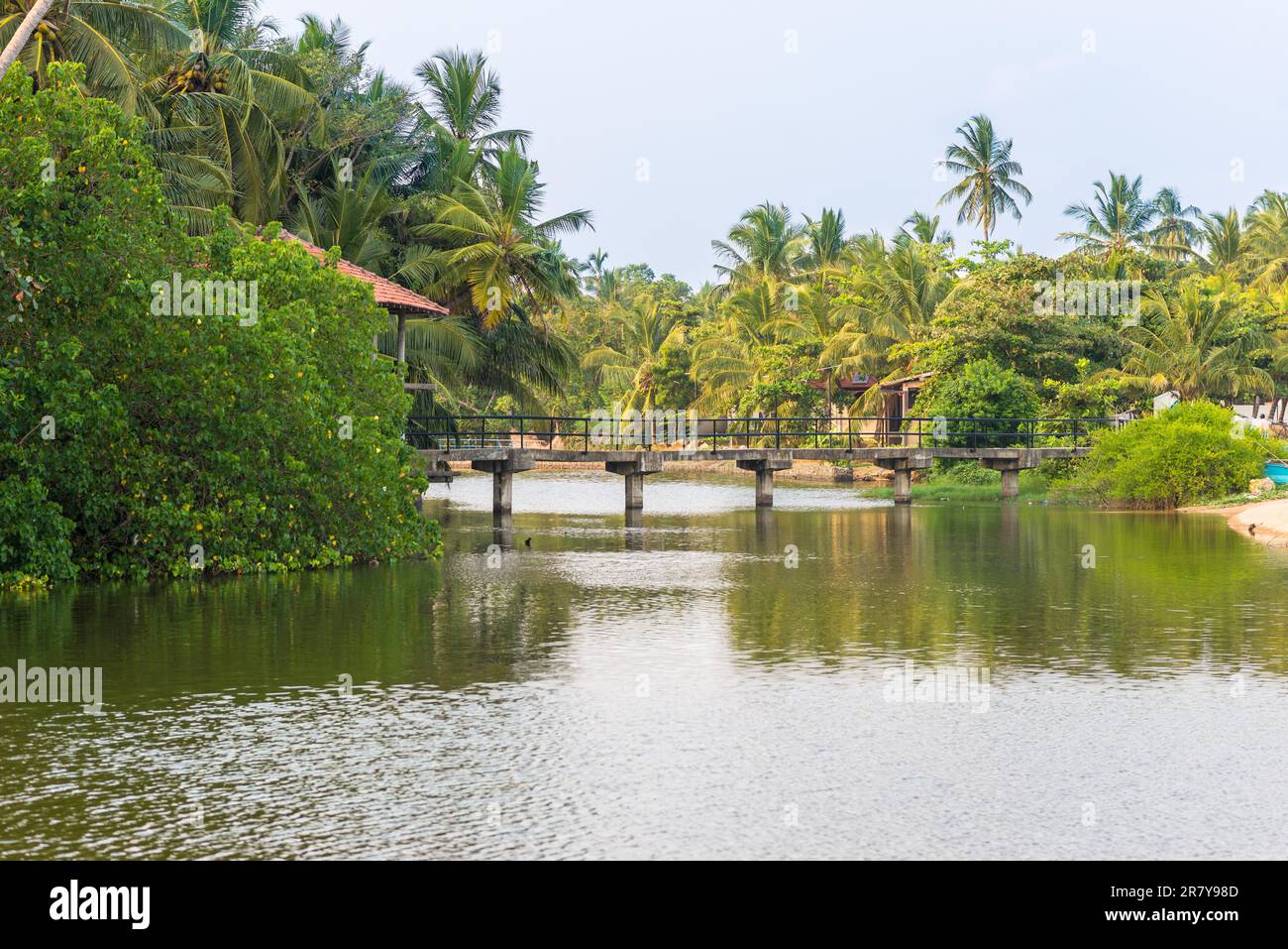 Il ponte attraversa la piccola laguna costiera di Tangalle. La città costiera ha una piccola e una grande laguna, molte spiagge ed è circondata da un Foto Stock