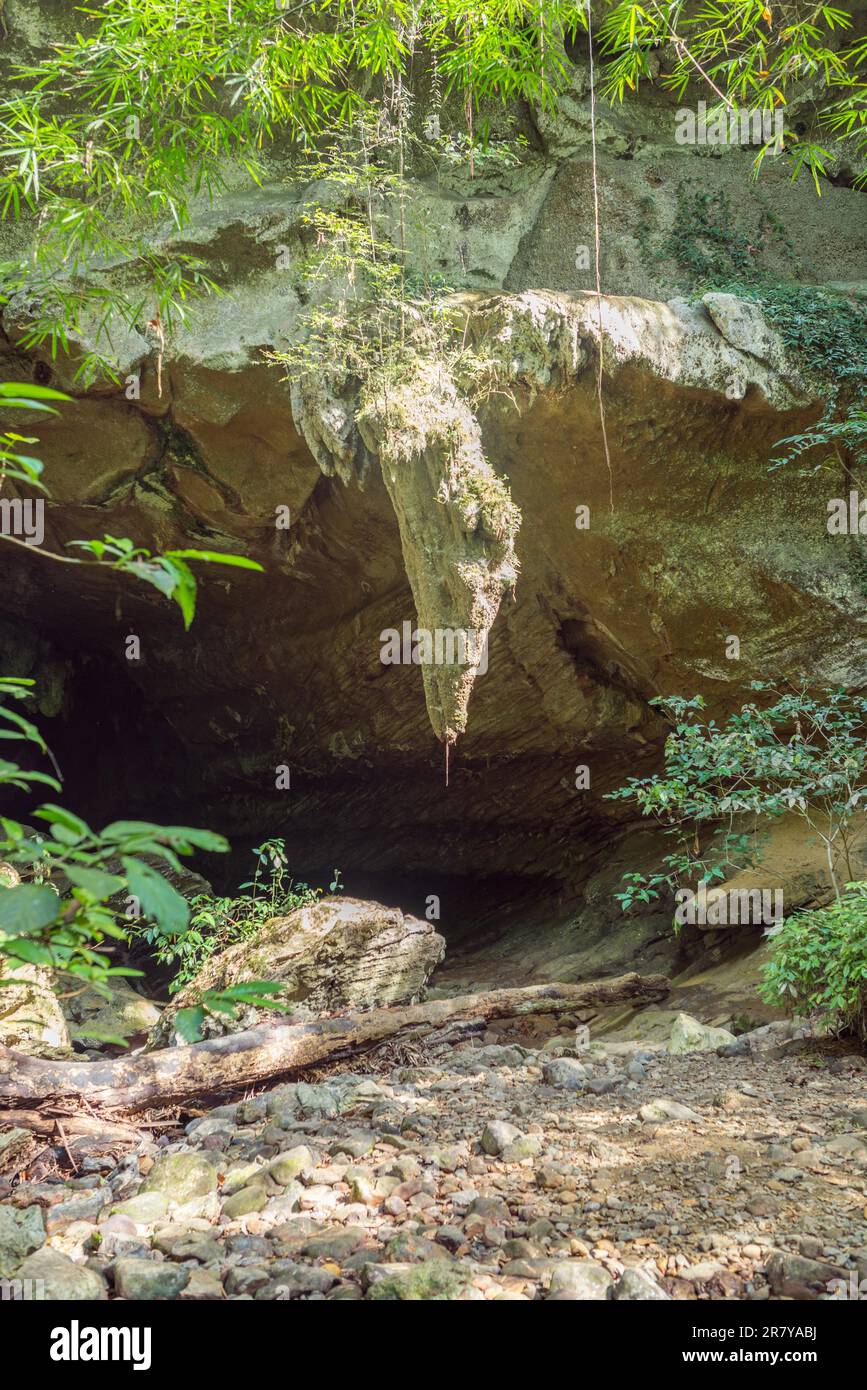 Grande stalattite all'entrata e alla foce della grotta di Nam Talu nel parco nazionale Khao Sok in Thailandia Foto Stock