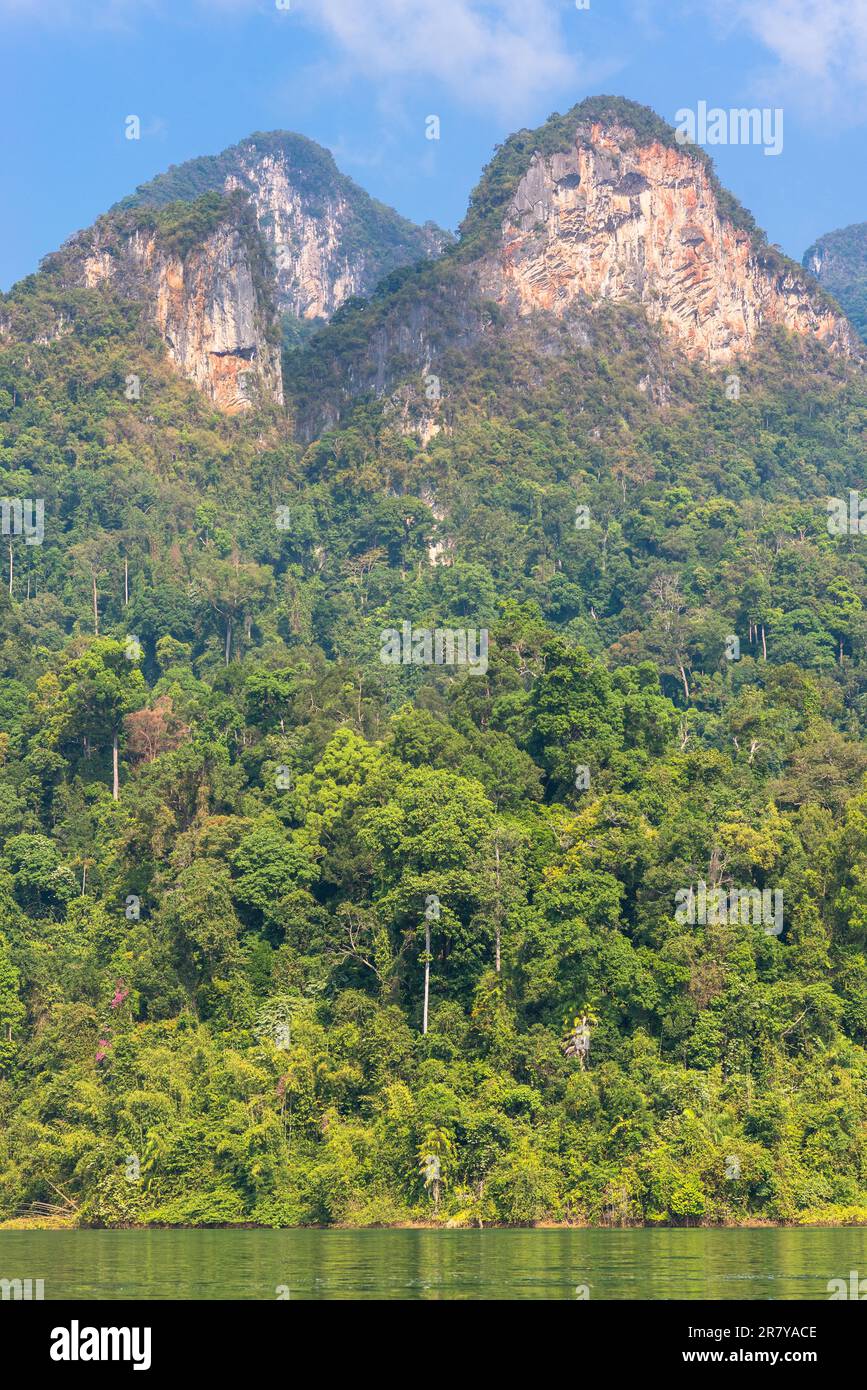 Il parco nazionale Khao Sok con il lago Cheow LAN è la più grande area di foresta vergine nel sud della Thailandia. Rocce calcaree, giungla e carsico Foto Stock