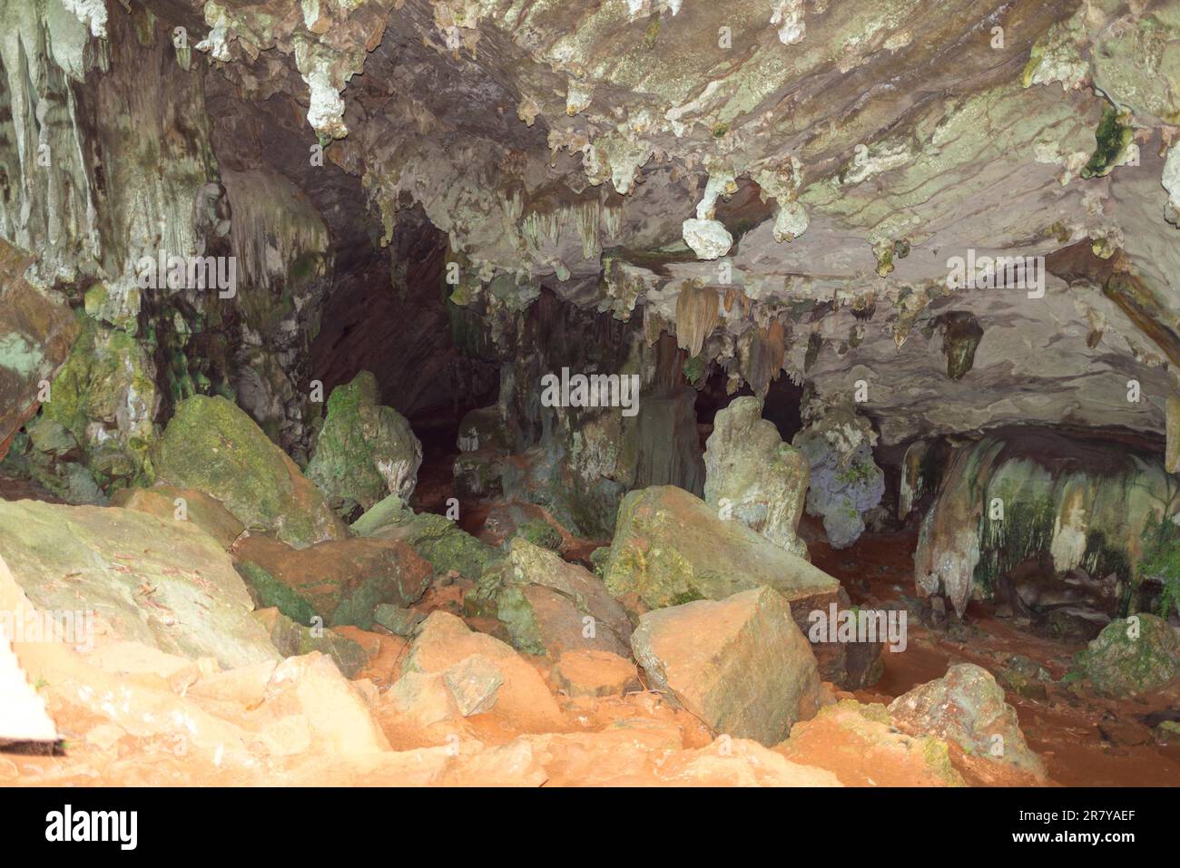 All'interno della grotta dei serpenti Tam Ngu nel parco nazionale di Khao Sok. Ci sono alcuni animali nella grotta come pipistrelli, serpenti e ragni Foto Stock