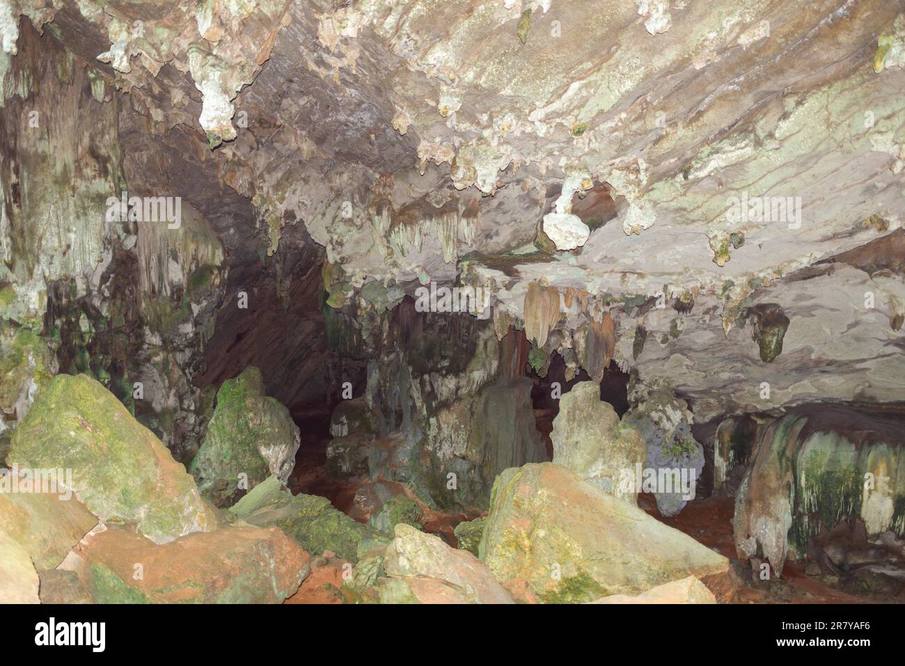 All'interno della grotta dei serpenti Tam Ngu nel parco nazionale di Khao Sok. Ci sono alcuni animali nella grotta come pipistrelli, serpenti e ragni Foto Stock