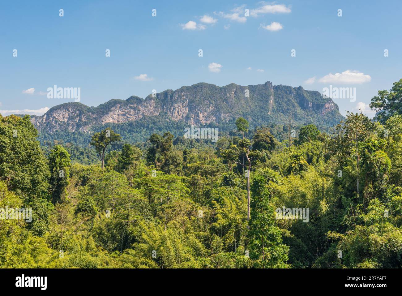 Il parco nazionale Khao Sok con il lago Cheow LAN è la più grande area di foresta vergine nel sud della Thailandia Foto Stock