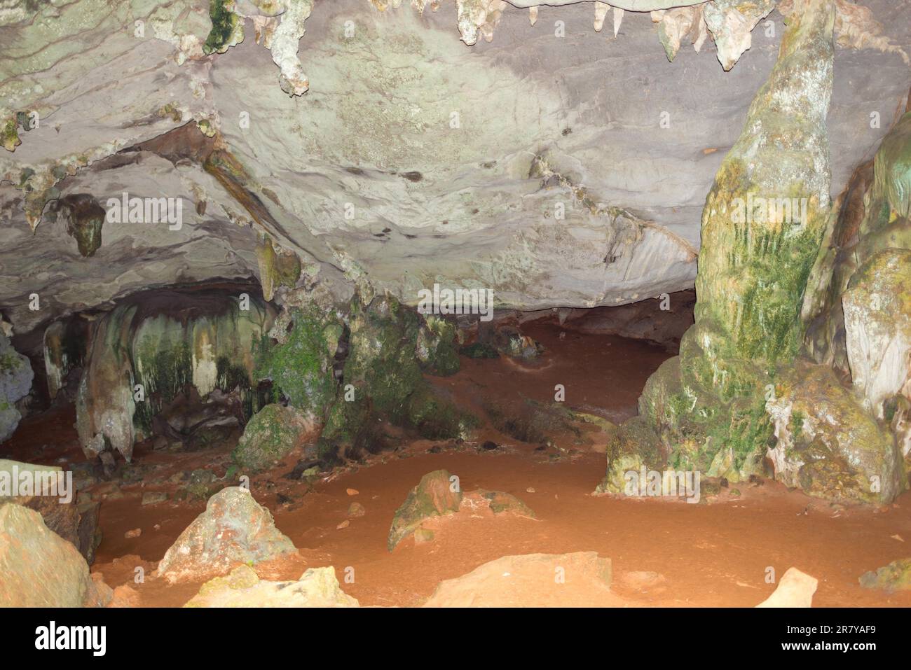 All'interno della grotta dei serpenti Tam Ngu nel parco nazionale di Khao Sok. Ci sono alcuni animali nella grotta come pipistrelli, serpenti e ragni Foto Stock