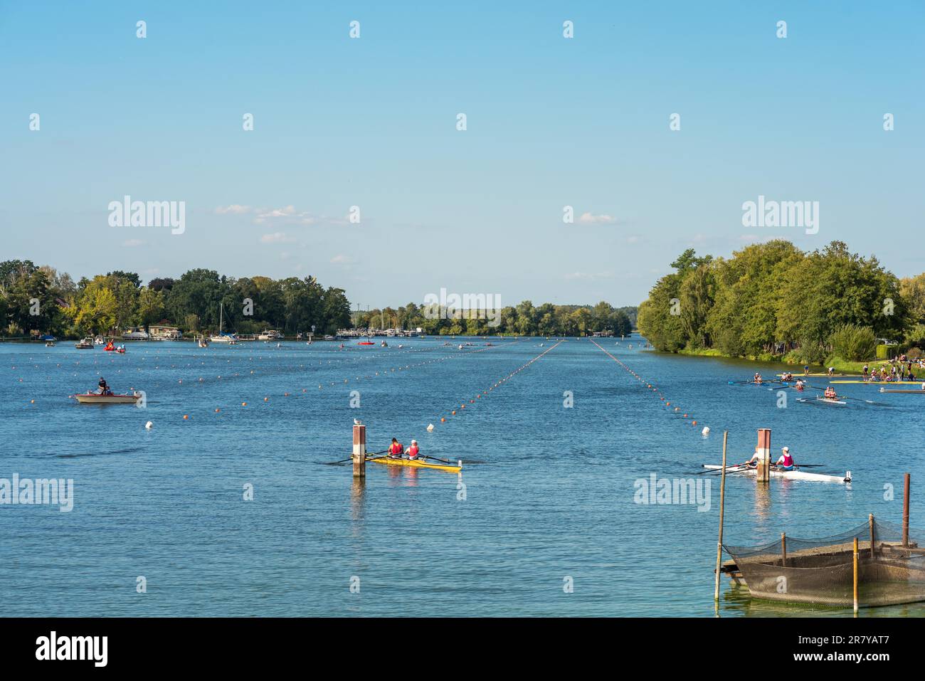 Regata di canottaggio sul fiume Havel nella cittadina di Werder, nello stato di Brandeburgo, in Germania Foto Stock