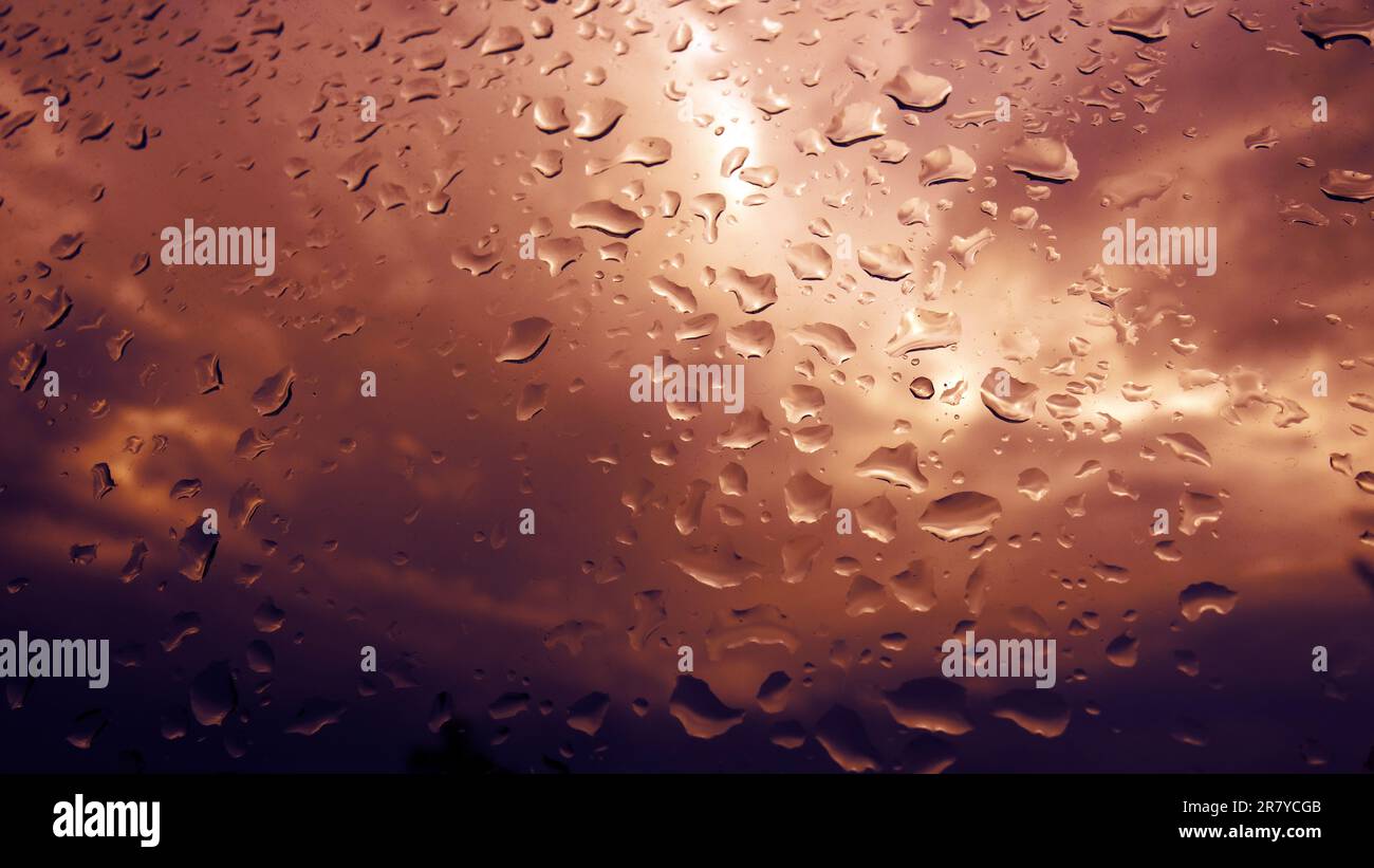 Gocce di pioggia su una finestra Foto Stock