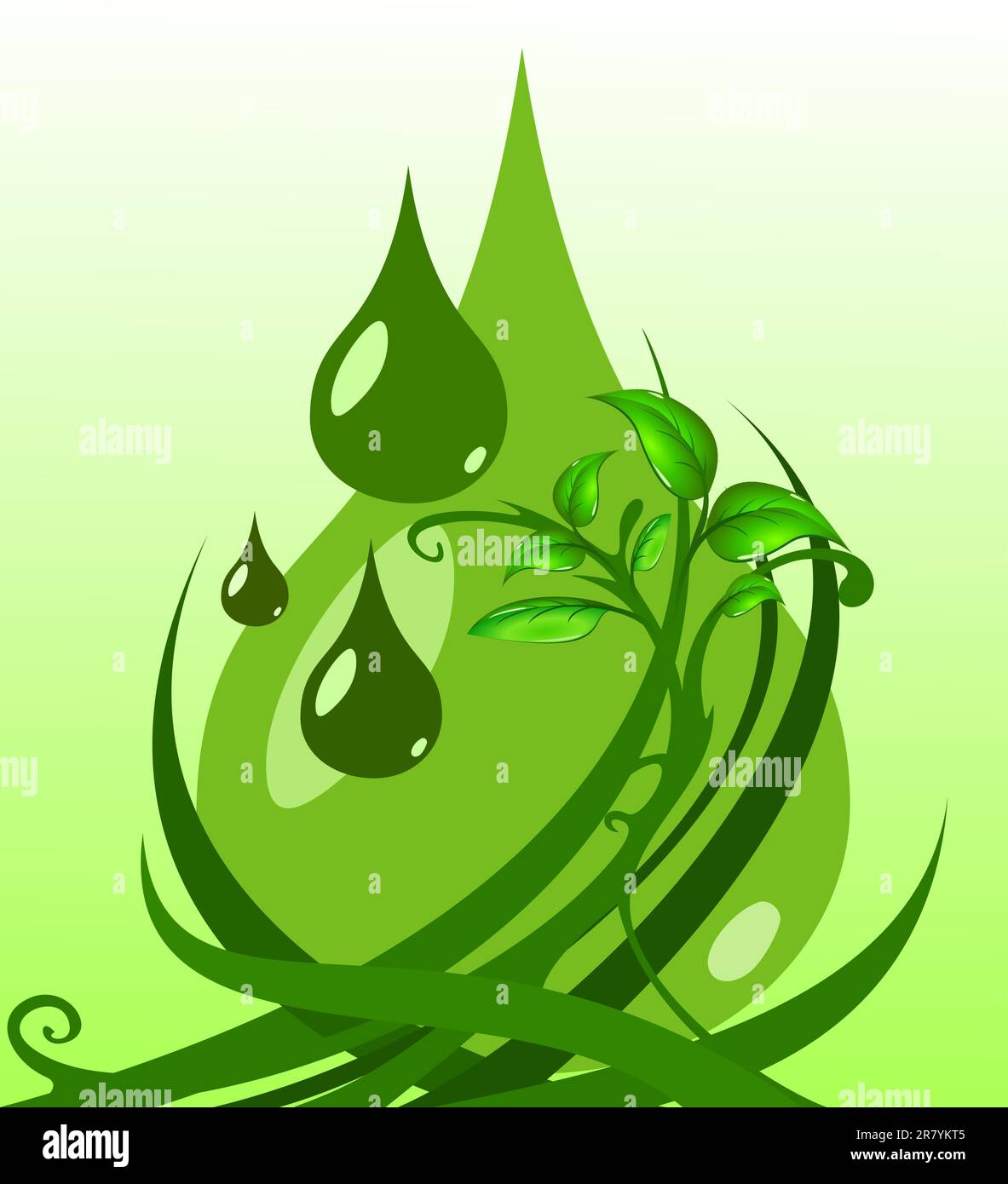 Foglie verdi con gocce d'acqua, illustrazione Illustrazione Vettoriale