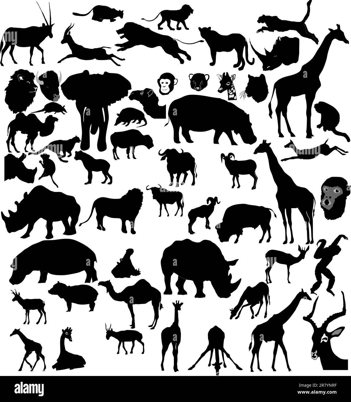 Grande set di africani e animali tropicali Illustrazione Vettoriale